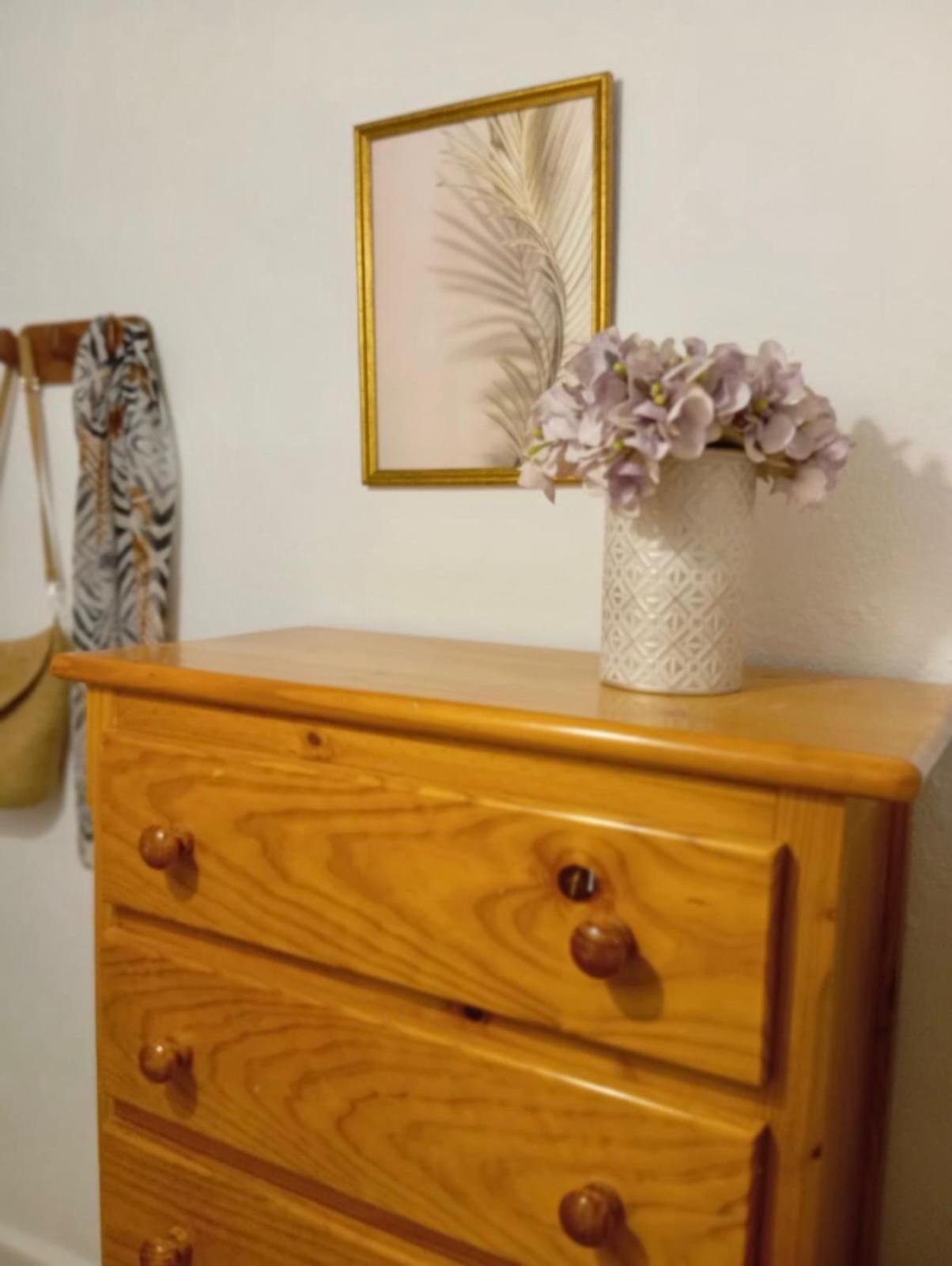 Apartment Vacational Homes South Organic