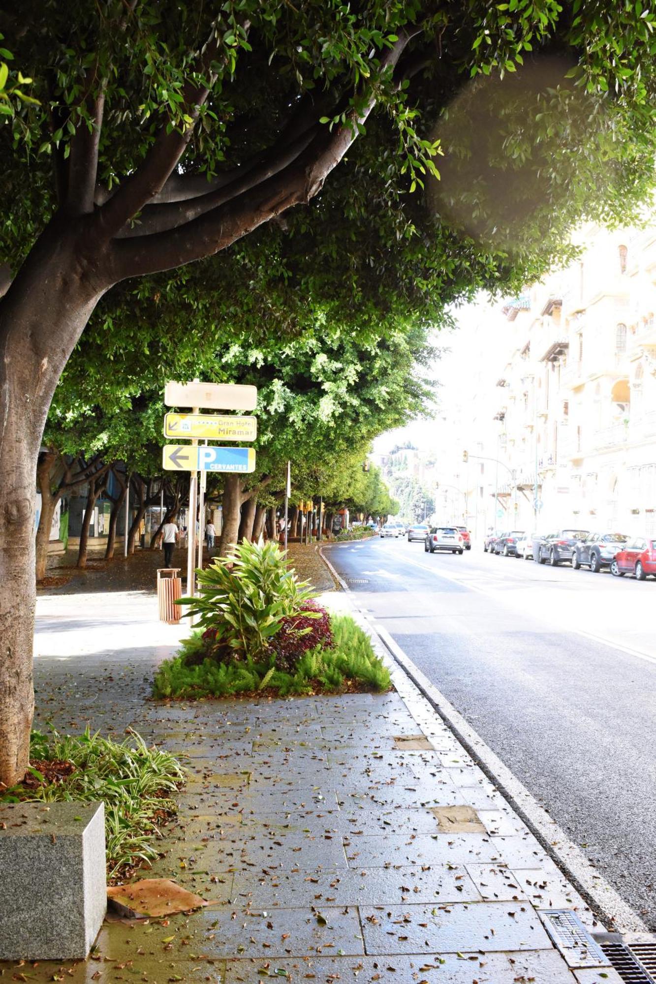 Malagueta's Cozy With Parking And Swimming Pool Apartment Málaga