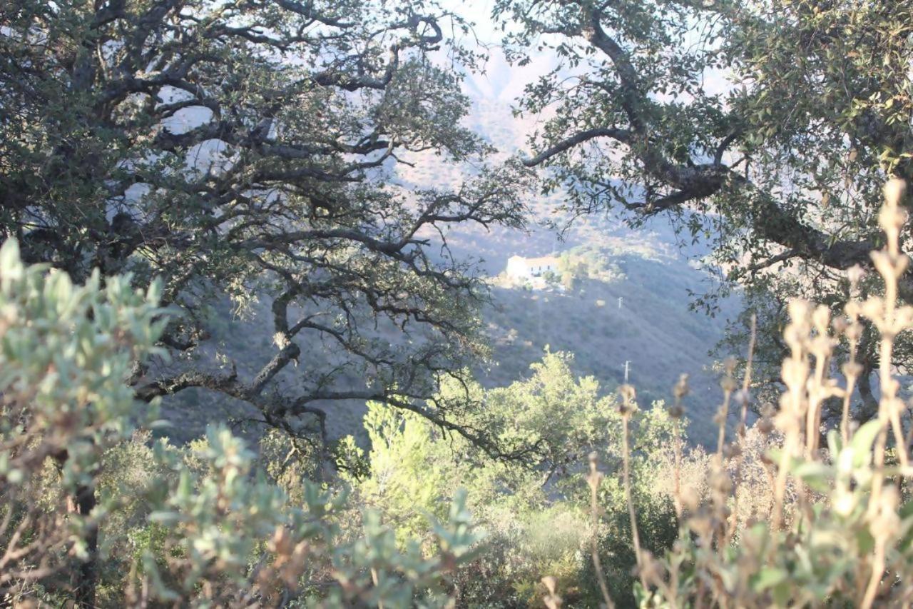 Lagar De Trevenez Montes De Chalet Málaga