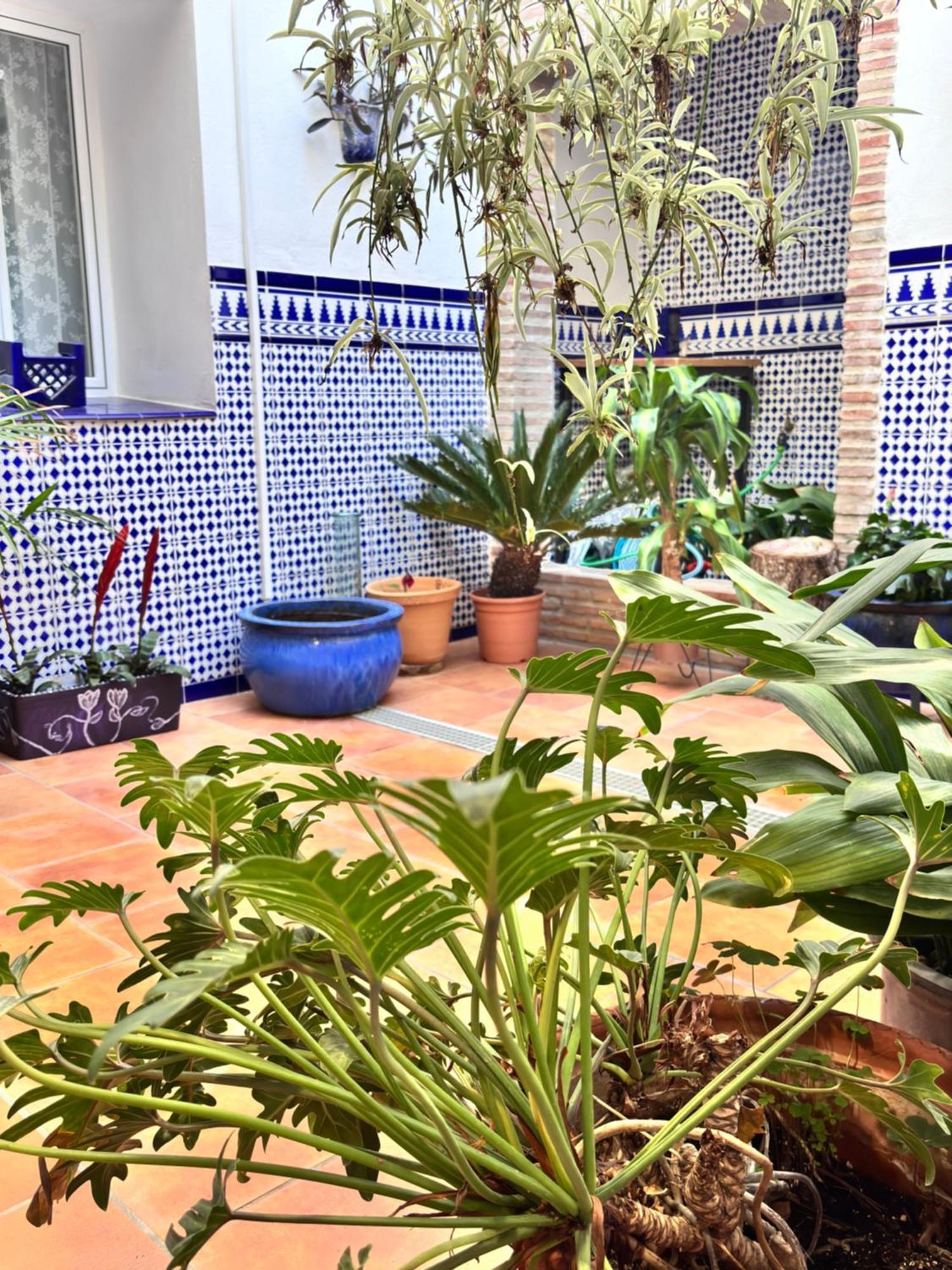 Shanti's Andalusian Guest house