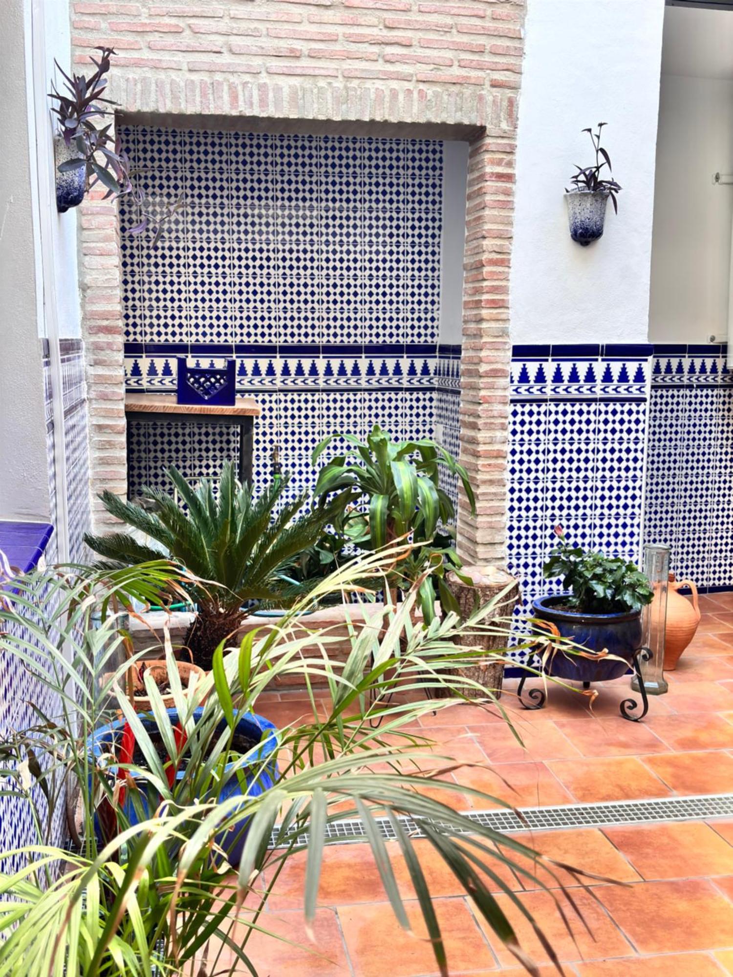 Shanti's Andalusian * Malaga