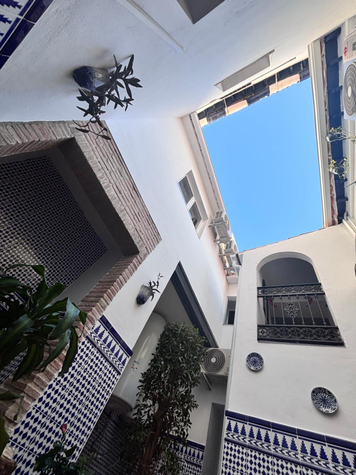 Shanti's Andalusian Malaga