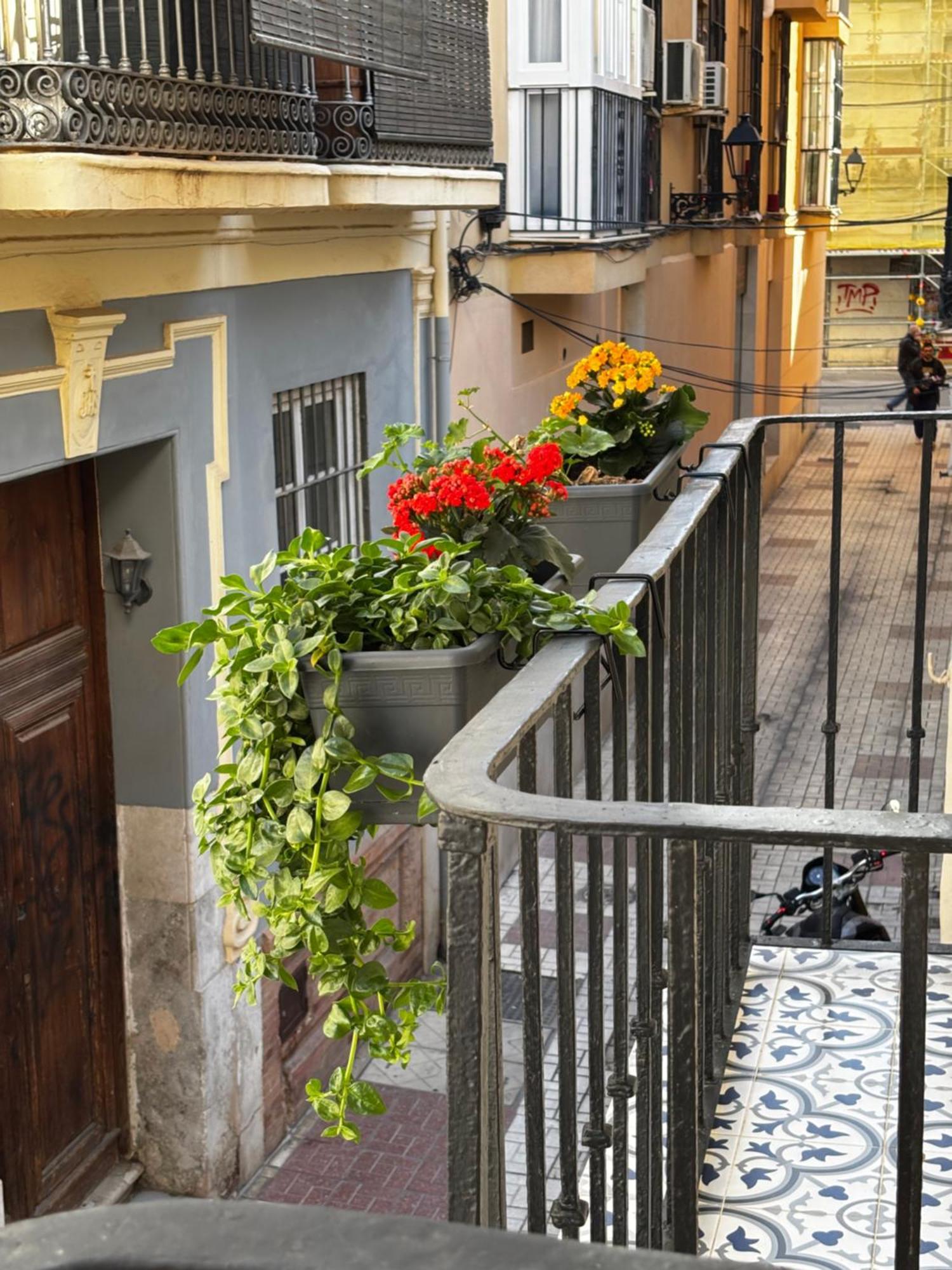 Shanti's Andalusian Guest house *