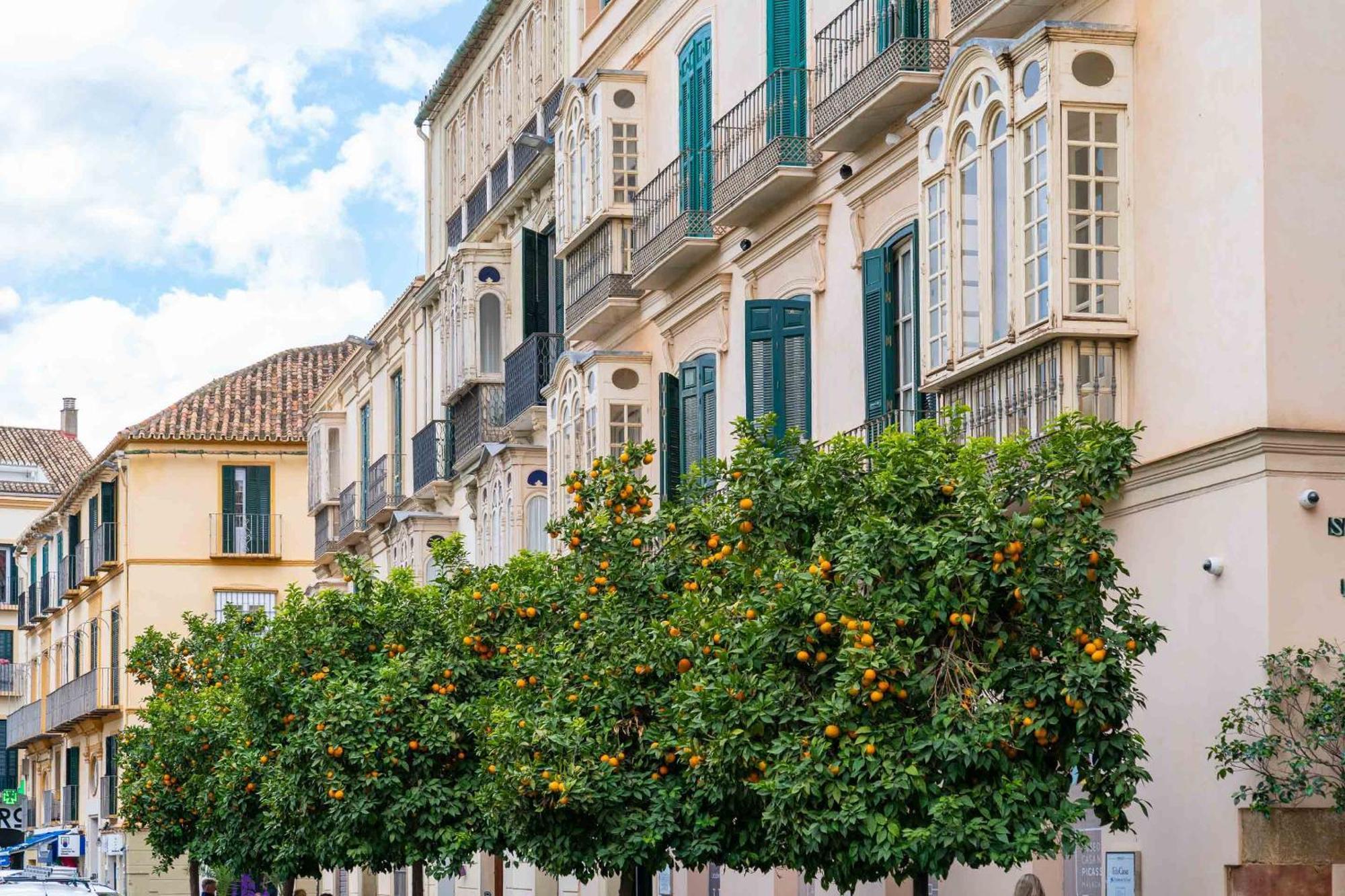 Apartment Limehome Calle Victoria Malaga