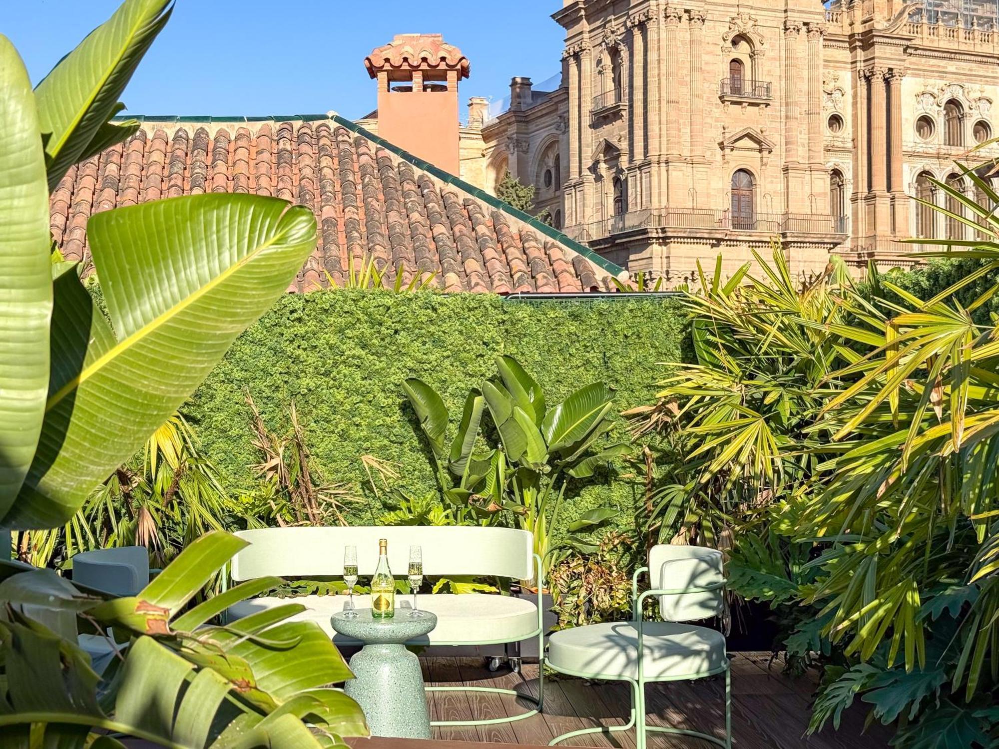 Apartment Coeo Fresca Roof Garden Signature Apartments