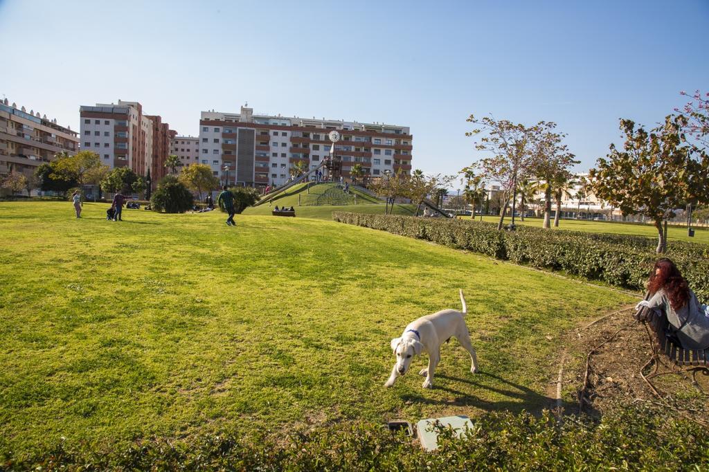 Apartment Jardines Del Litoral Momas Homes