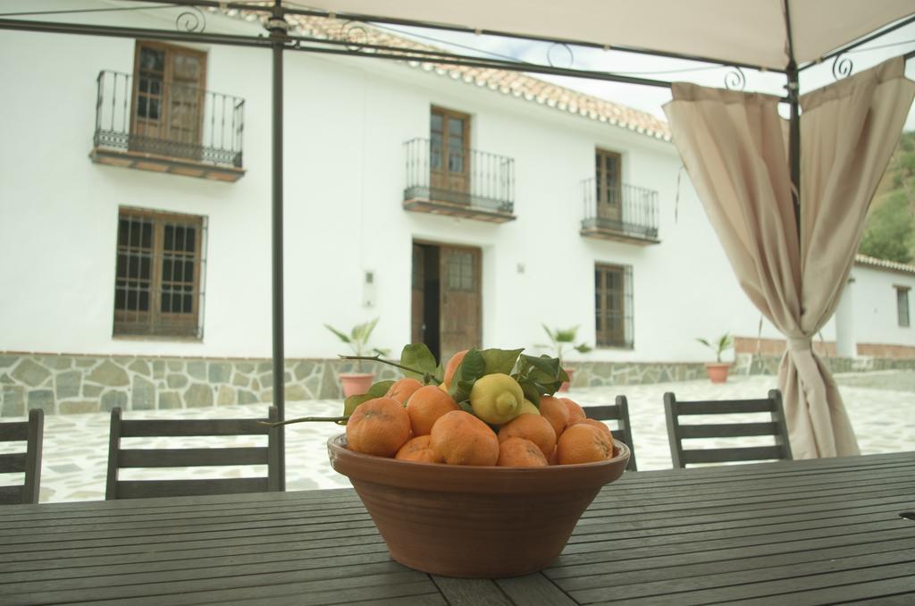 Rural Montes Malaga: Cortijo La Palma Holiday home Malaga
