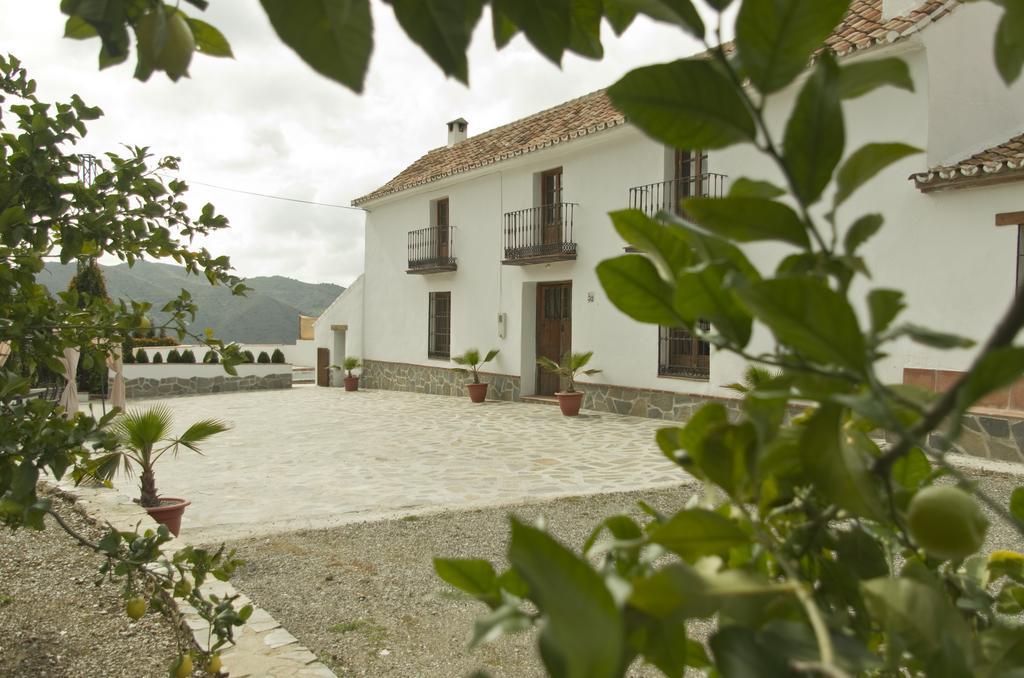 Rural Montes Malaga: Cortijo La Palma Holiday home Malaga