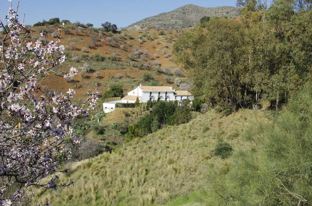Holiday home Rural Montes Malaga: Cortijo La Palma *