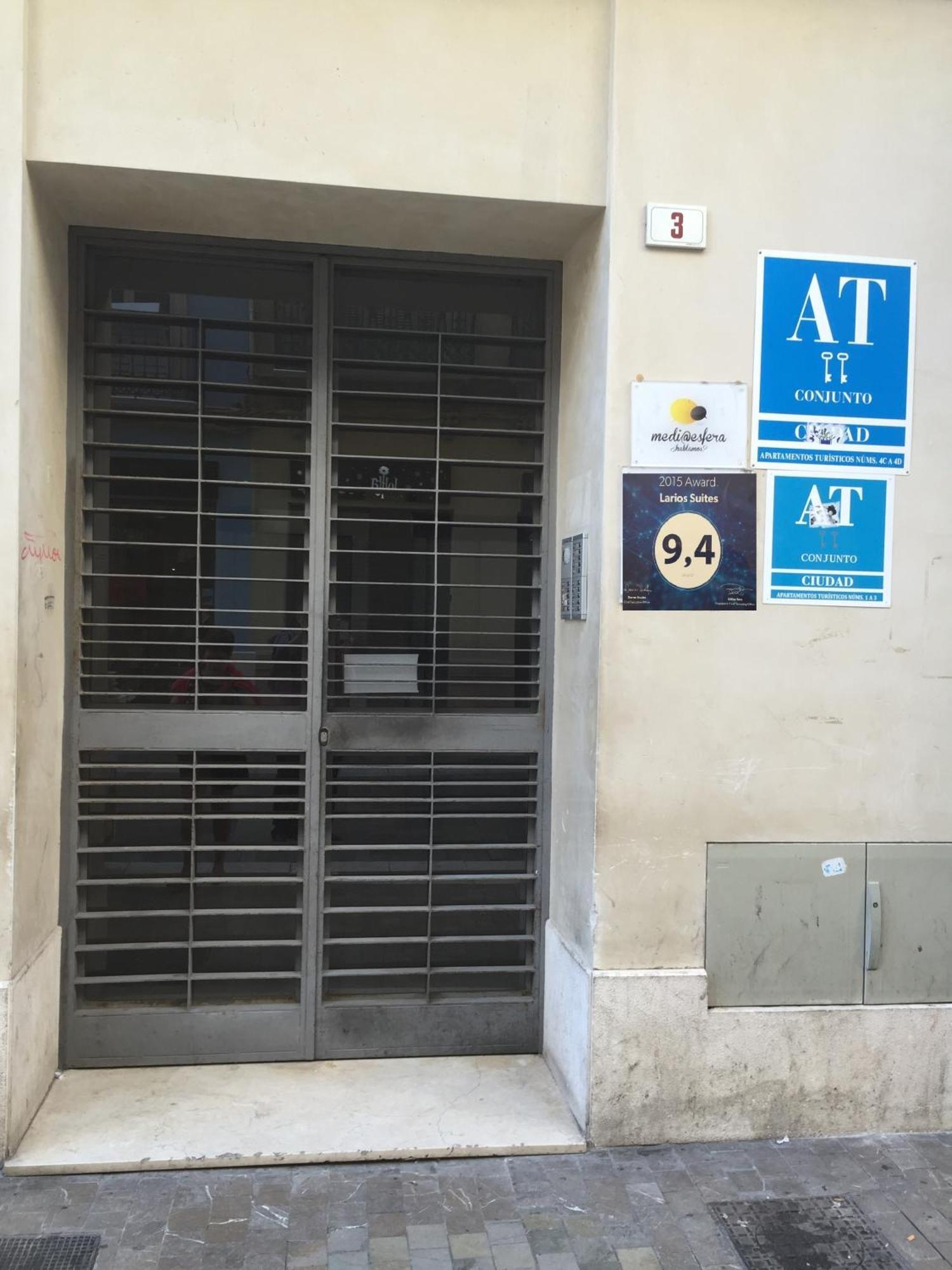 Apartment Larios Suites *