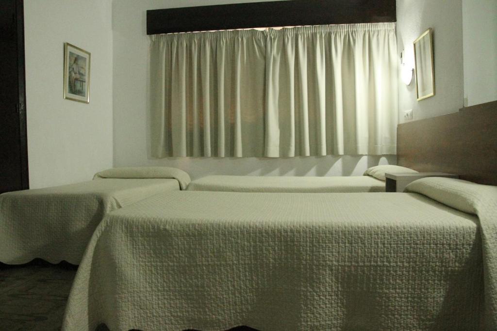Guest house Terminal Malaga