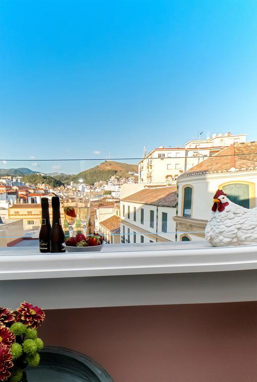 Picasso's Birthplace Views *