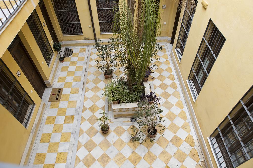 Suncity Loft Pozos Dulces * Malaga
