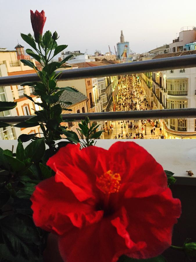 Larios Suites Apartment