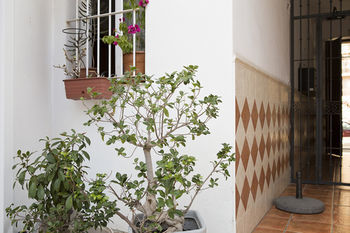 Suncity Plaza Apartment *