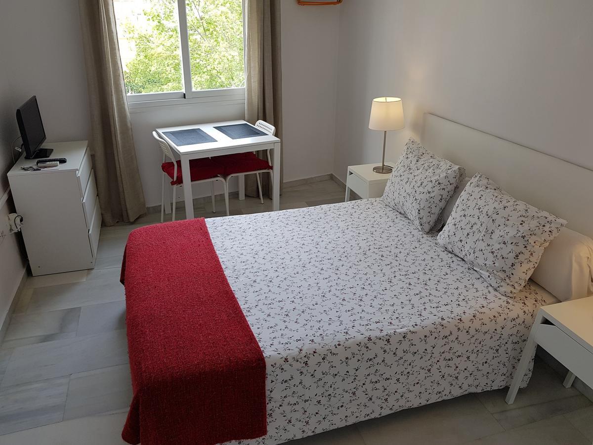 Fan Flat Eugenio (adults Only) * Malaga