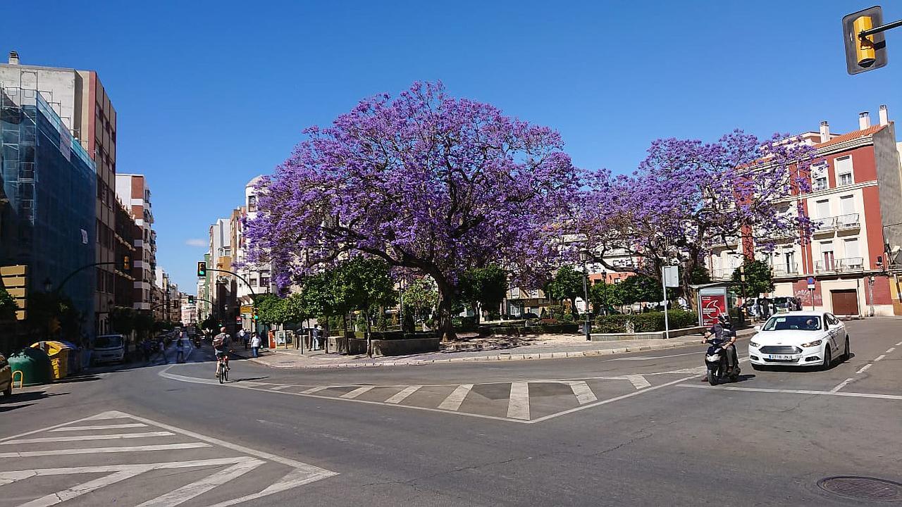 Victoria Citycenter Appartement Málaga