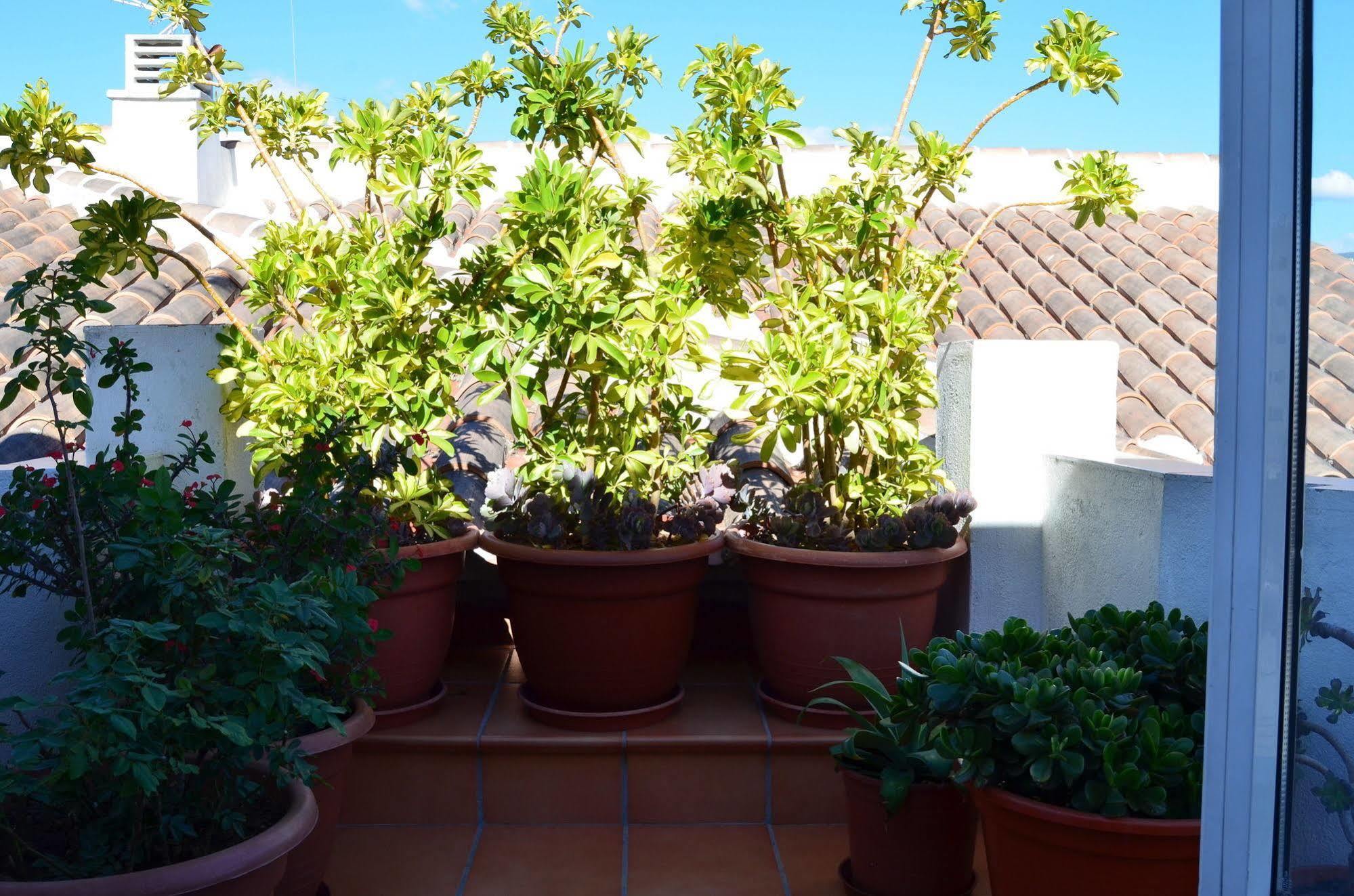 San Pablo Apartment *
