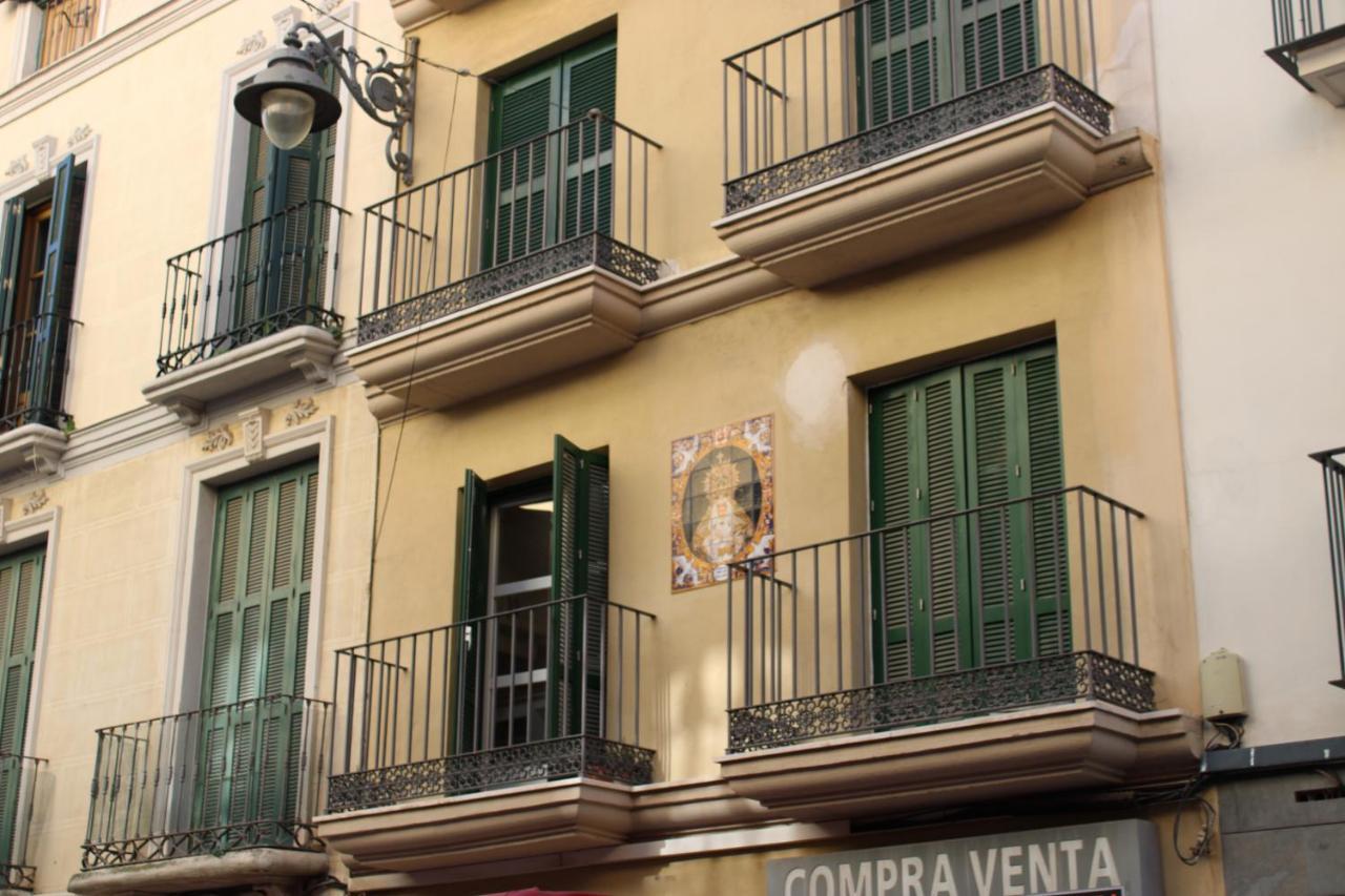 Fan Flat Carreteria * Malaga