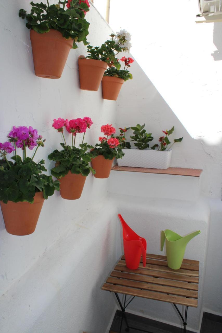 Fan Flat San Juan Apartment *
