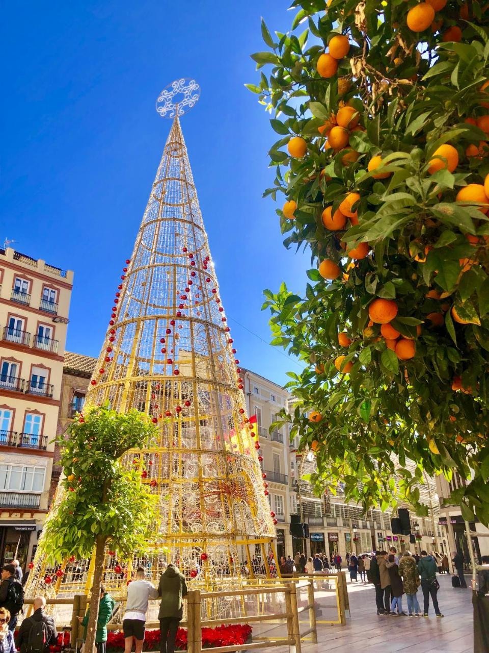 Atico Centro Apartment Malaga