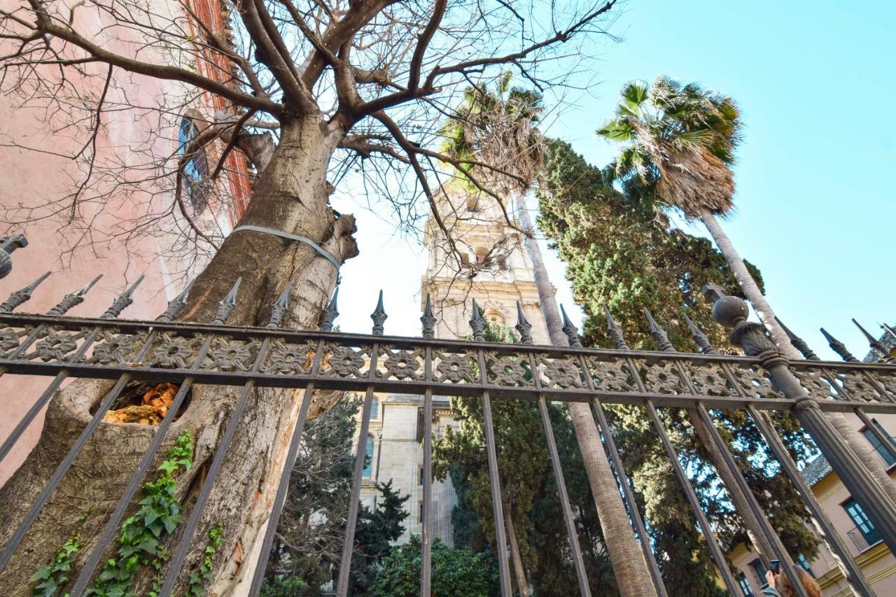 Premium - Cathedral Of