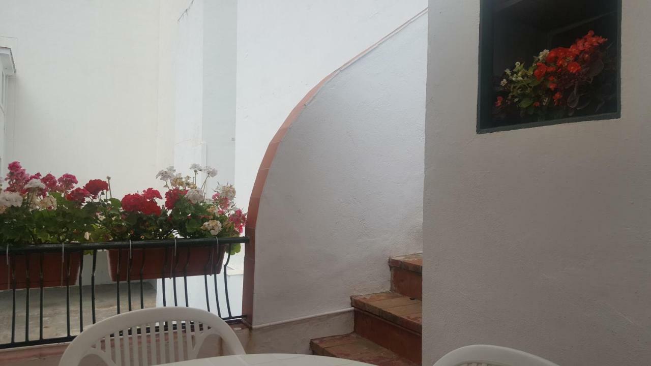 Guest house Yna Malaga