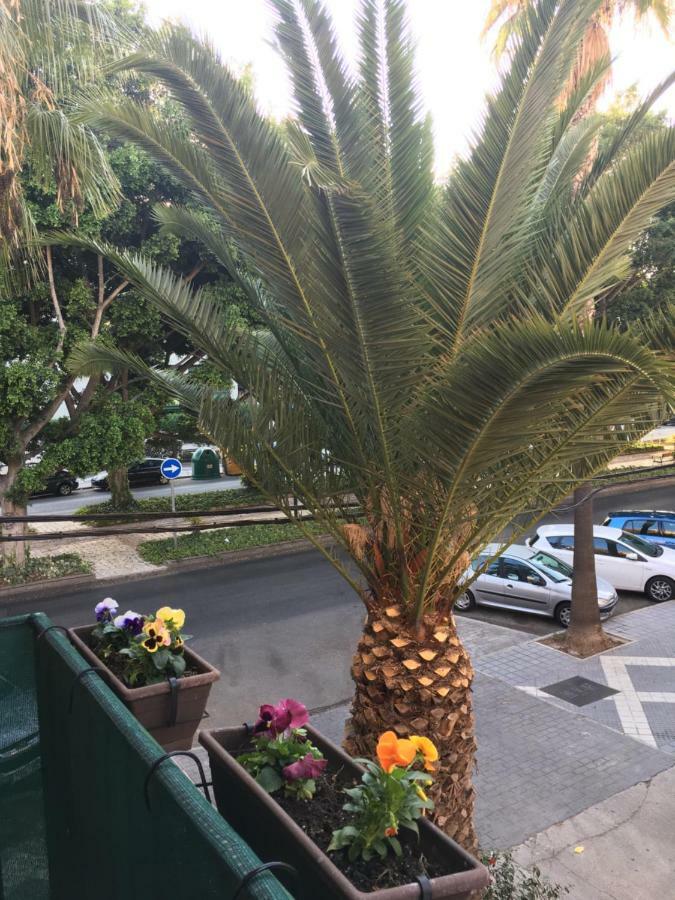 Apartment New & Parking Alcazaba