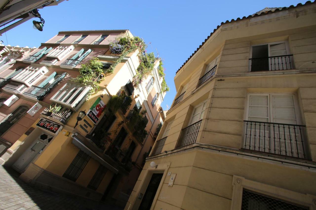 Moderno Piso En Centro Historico Apartamento *