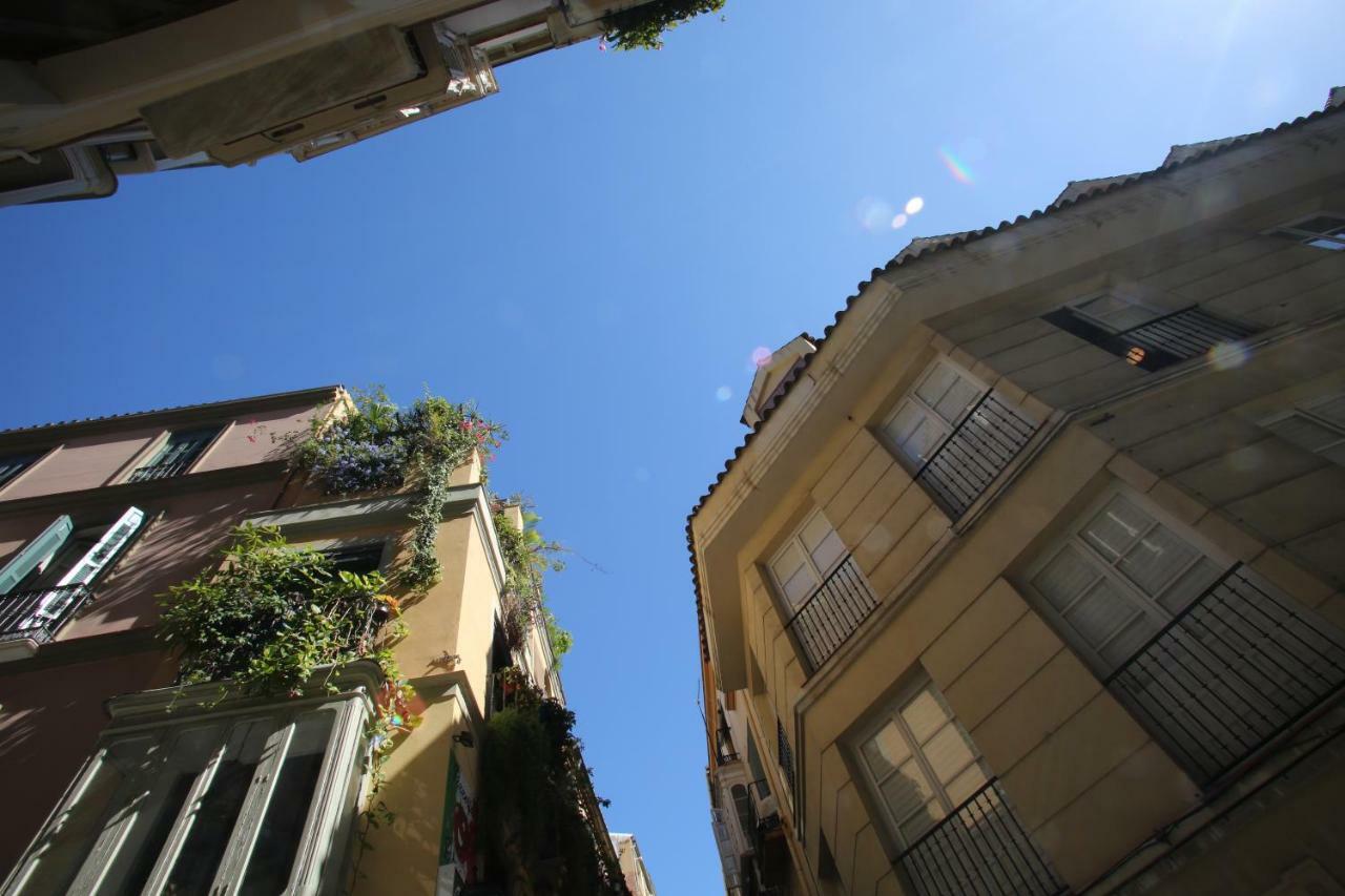 Moderno Piso En Centro Historico Málaga