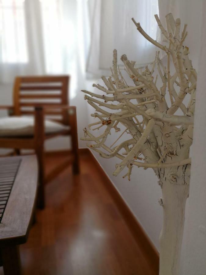 Milagros 110 M2 Appartement *