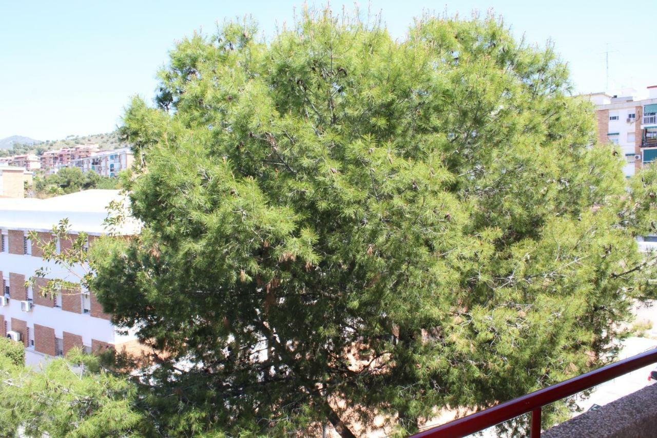 Appartement Con Parking Gratuito