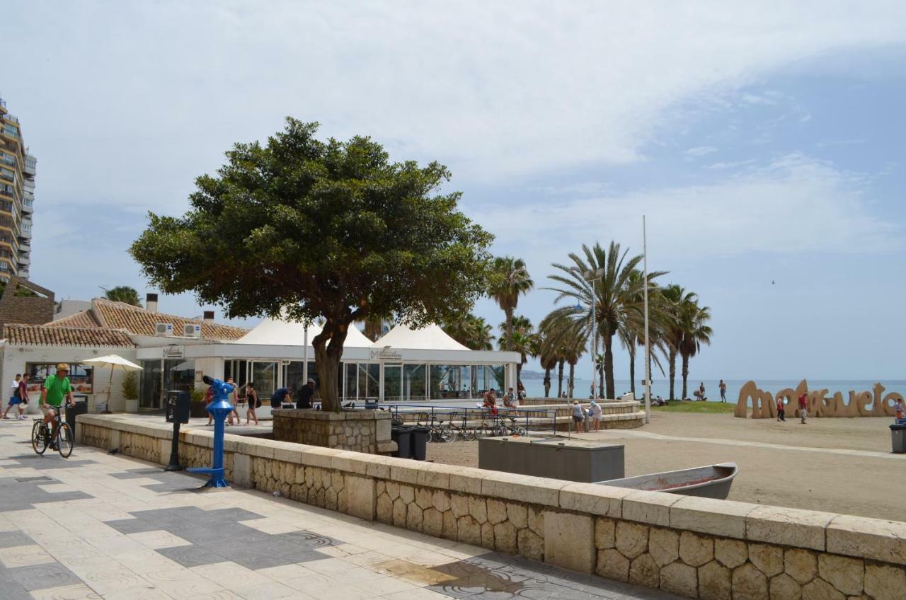 Plaza Montaño Málaga