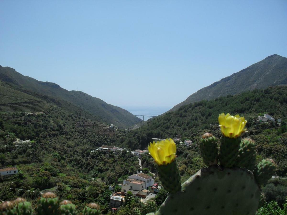 Vakantiehuis Cortijo Buenavista