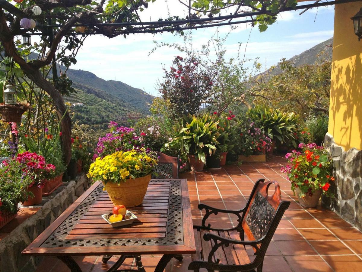 Vakantiehuis Cortijo Buenavista
