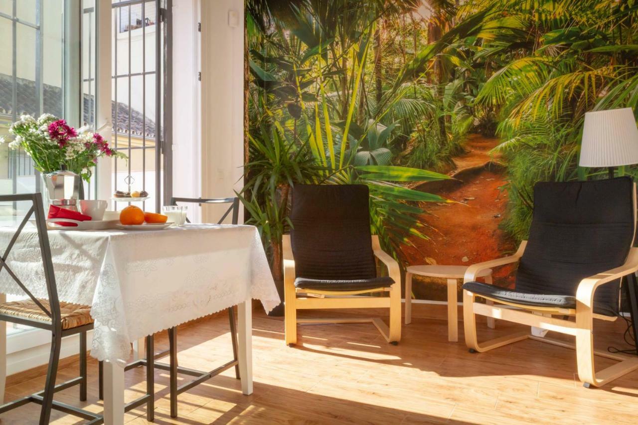 Fresh, Relax & Sun Historic Center Apartment *