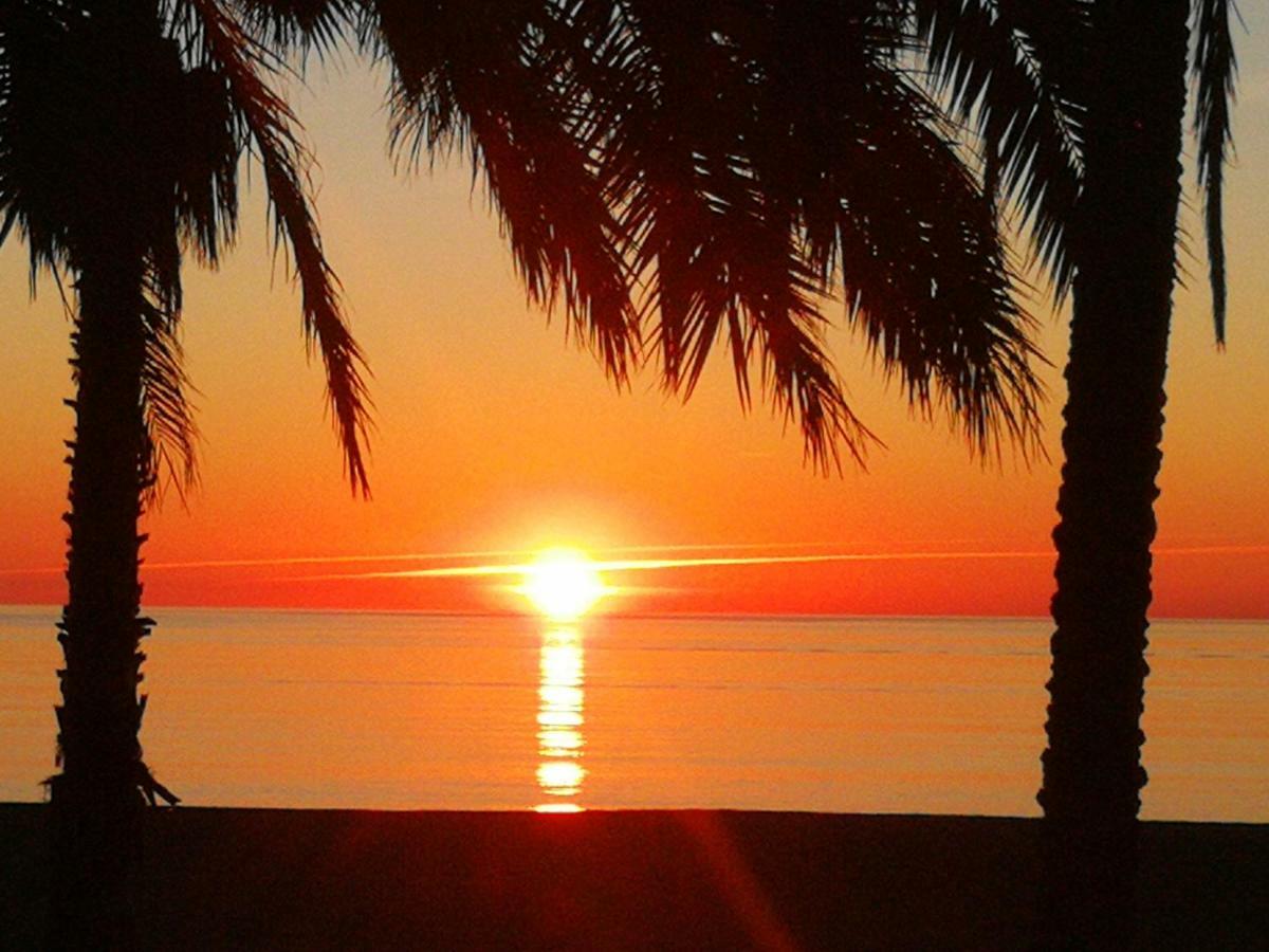 Livemalaga Reding Malaga