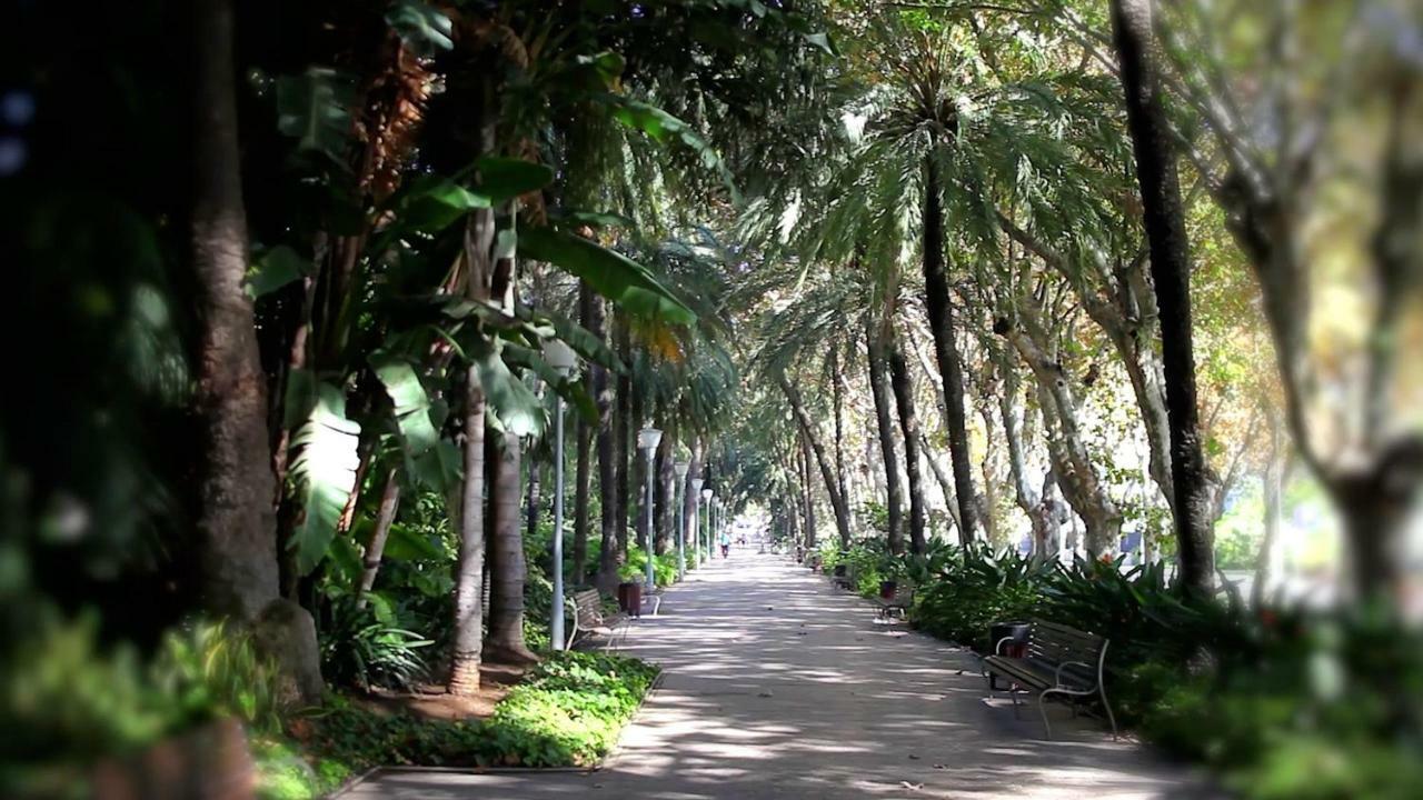 Apartment Picasso Premium Malaga