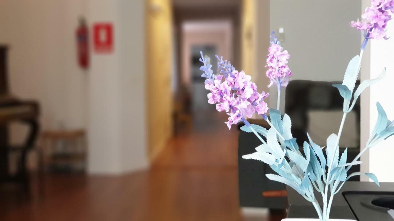 Gran Centro Historico Apartment *