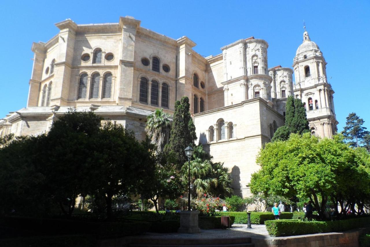 Shiny Per Family * Malaga