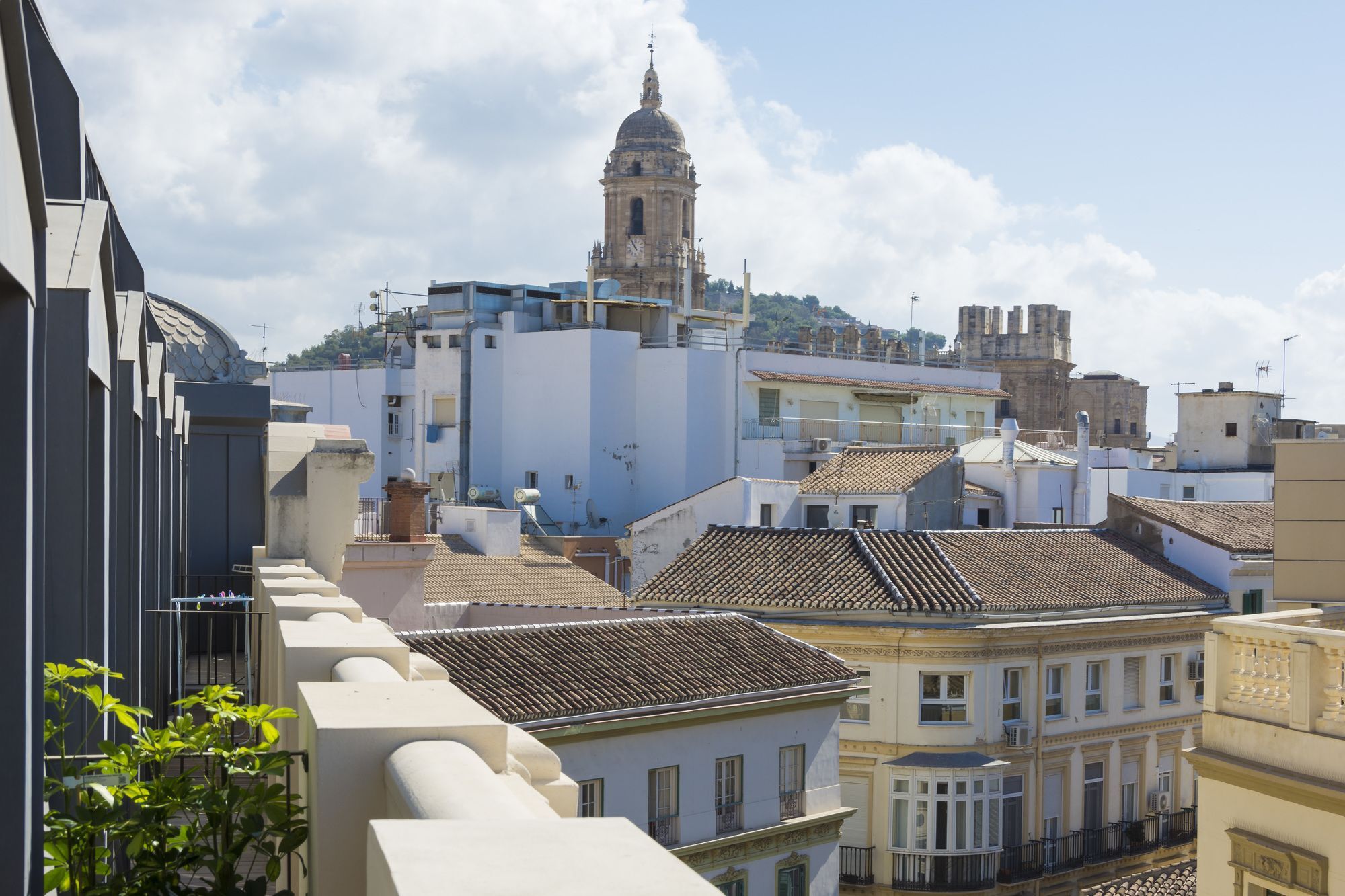 Luma Malaga