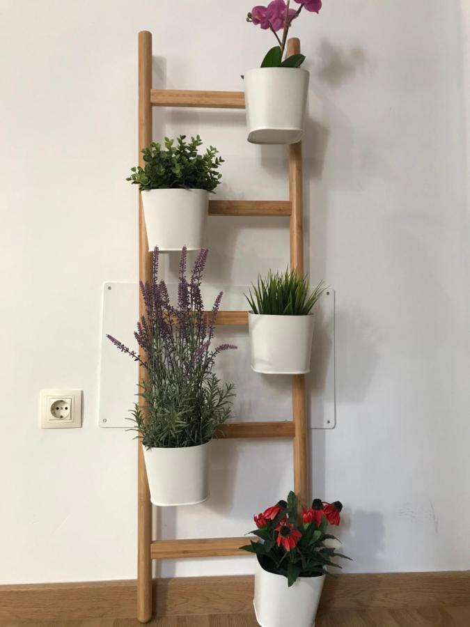 Urban Center Dream Apartment