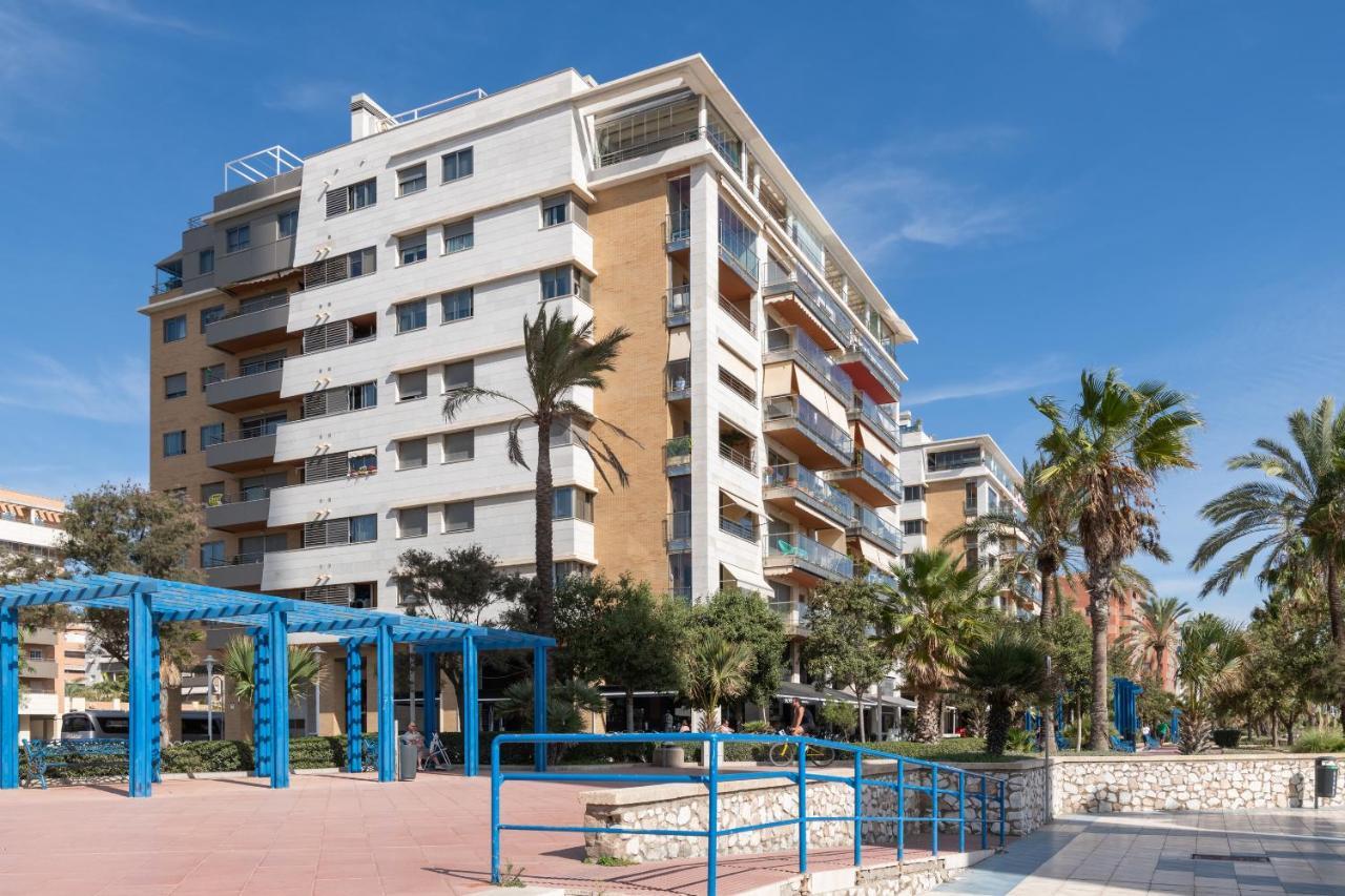 Iloftmalaga Pacifico 41 *