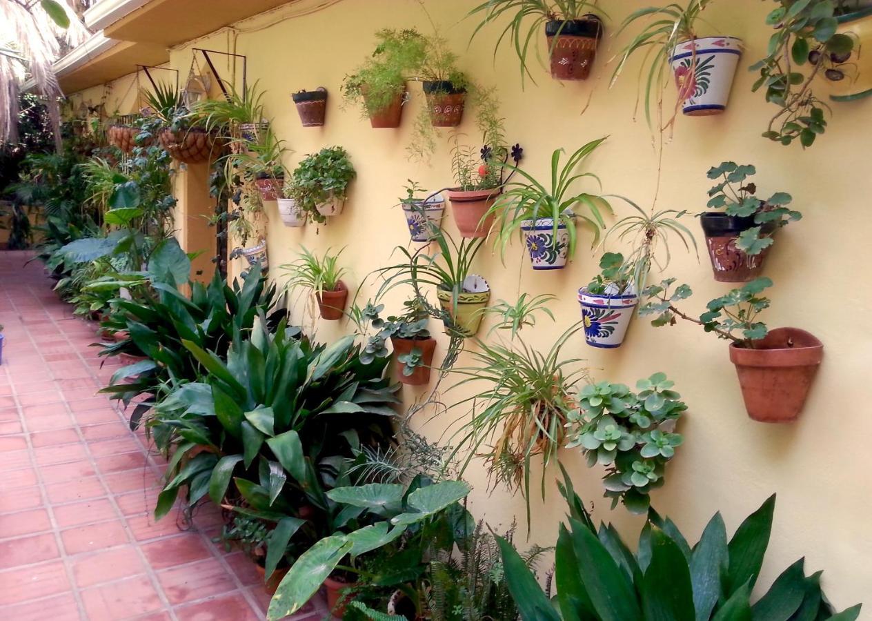 Casa Esperanza Apartment *