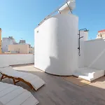 Attic Oasis