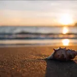 Huelin House Beach And Sun, Con Parking Y A 500 Metros De La Playa