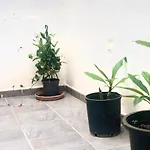 Varela Apartamentos B