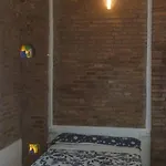 Fernando El Catolico Premium