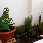 Penthouse Terrace