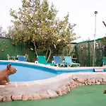 Almotaje, Numero 3
